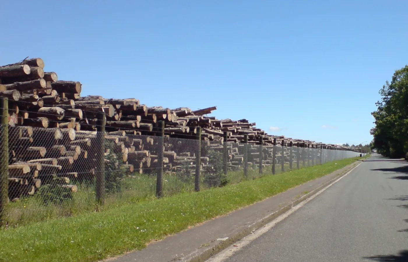 Organized timber storage yard