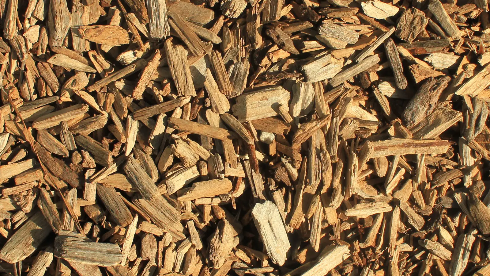 Close-up of natural wood chips